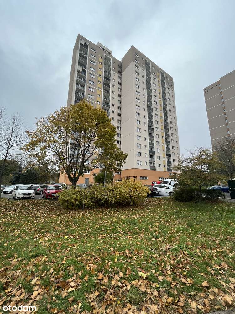 Wolne, do objęcia od zaraz. Atrakcyjna lokalizacja os. Tysiaclecia-0