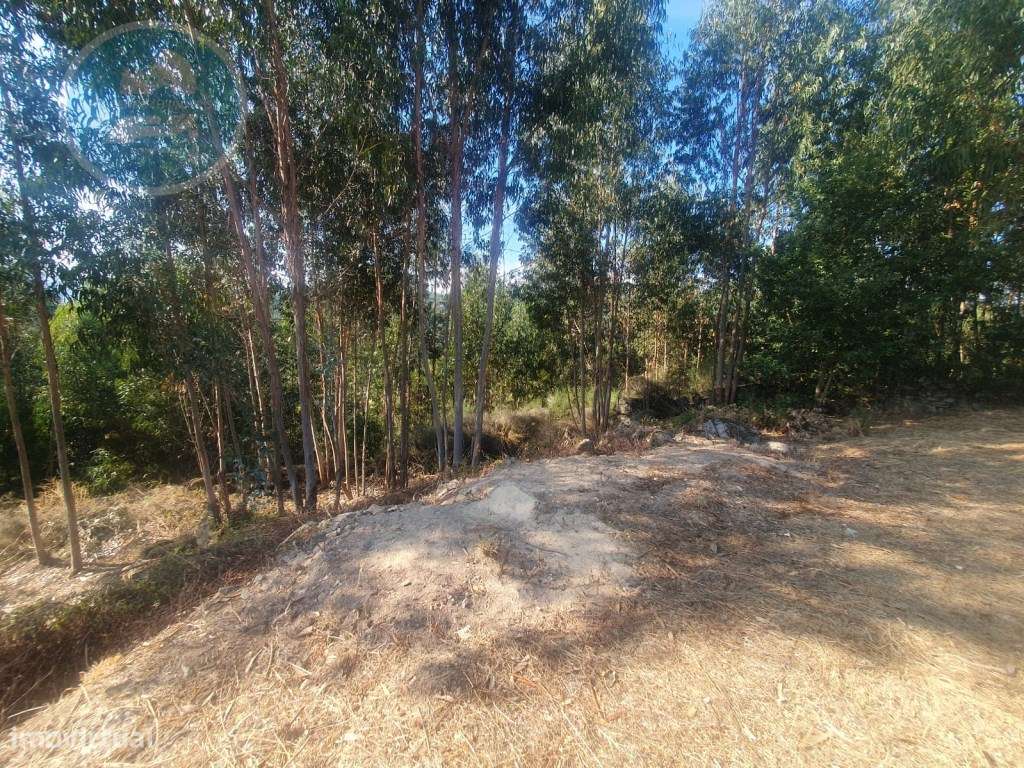 Terreno à venda- Cruz do Muro, Cabeceiras de Basto-10