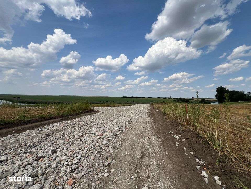 Teren Frumusani | RATE 24 LUNI | Utilitati | Investitie | D.N. 4 - Imagine principală: 2/7