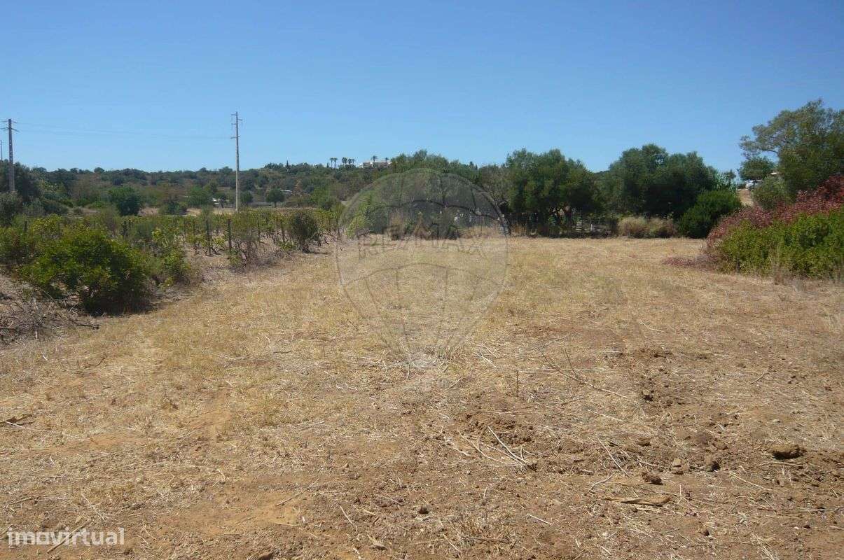 Terreno  para venda - Grande imagem: 3/10