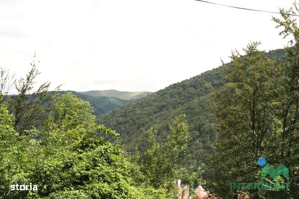 Teren Central-Sinaia, 300 mp-5