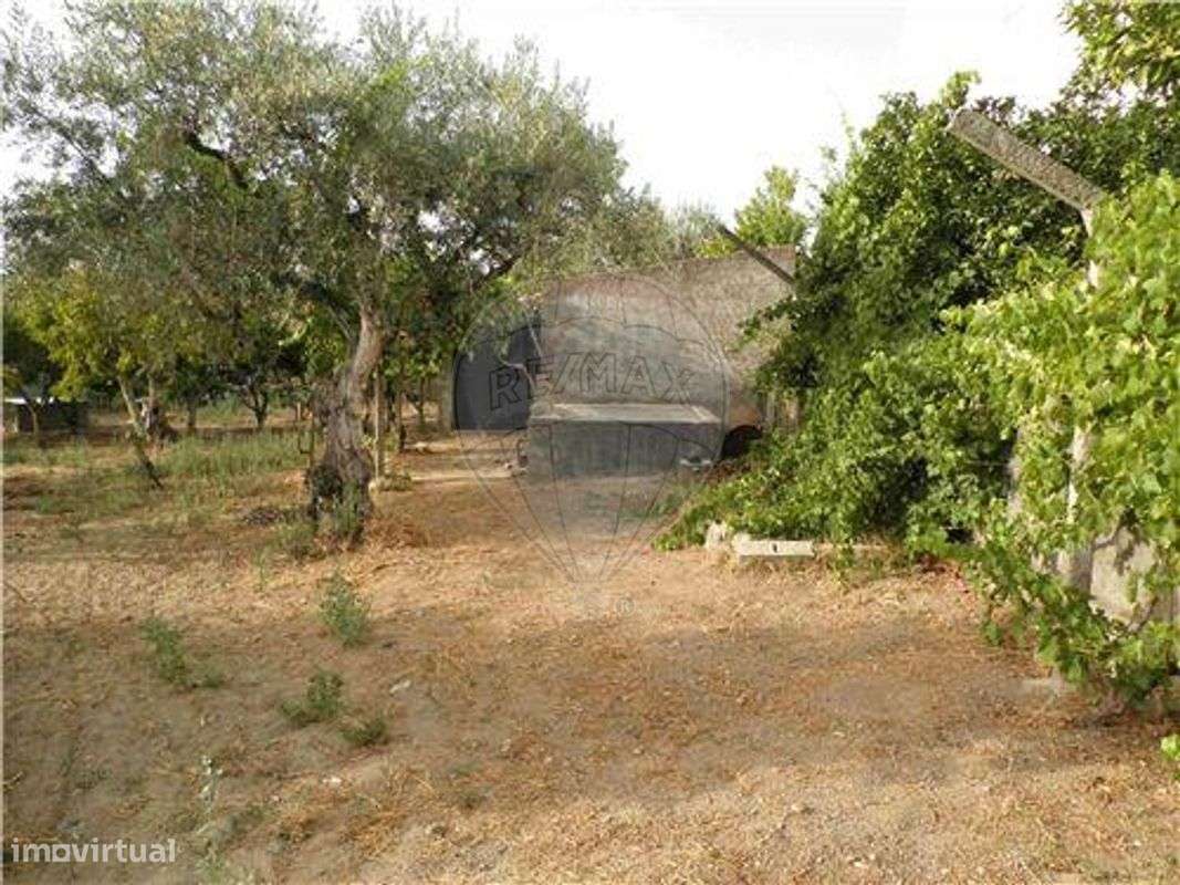 Quinta T0 para venda - Grande imagem: 4/40