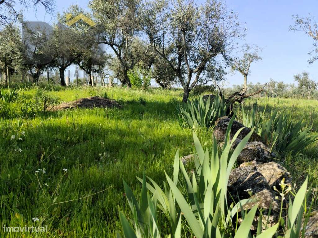 Quintinha de Charme: O Retiro Perfeito a um Passo da Cidade - Grande imagem: 4/10
