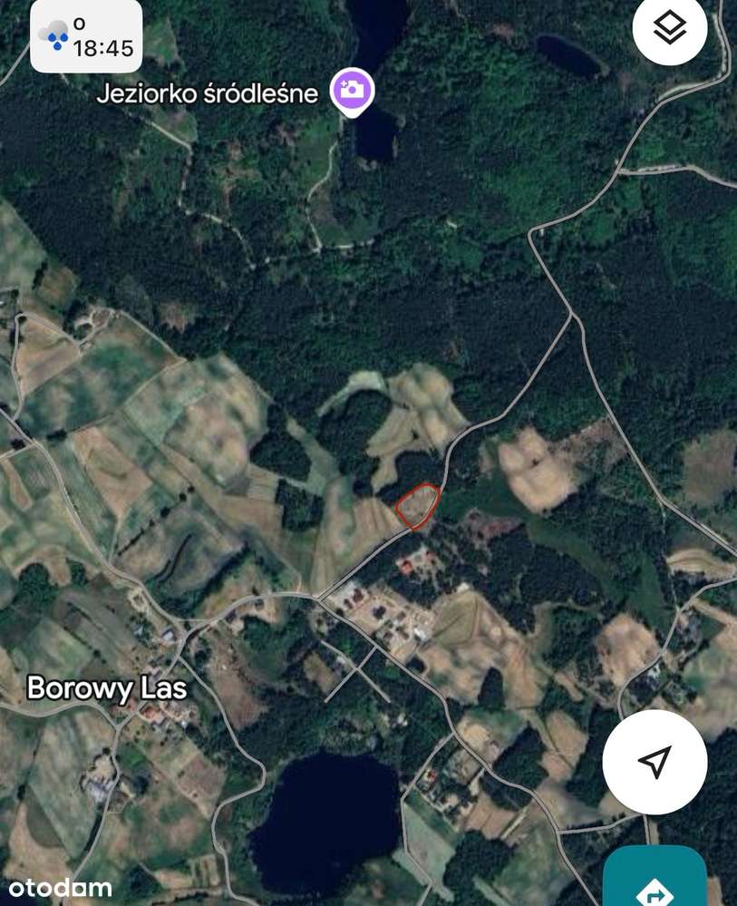 Borowy Las działka w malowniczej okolicy, blisko lasu - Pełny obrazek: 4/4