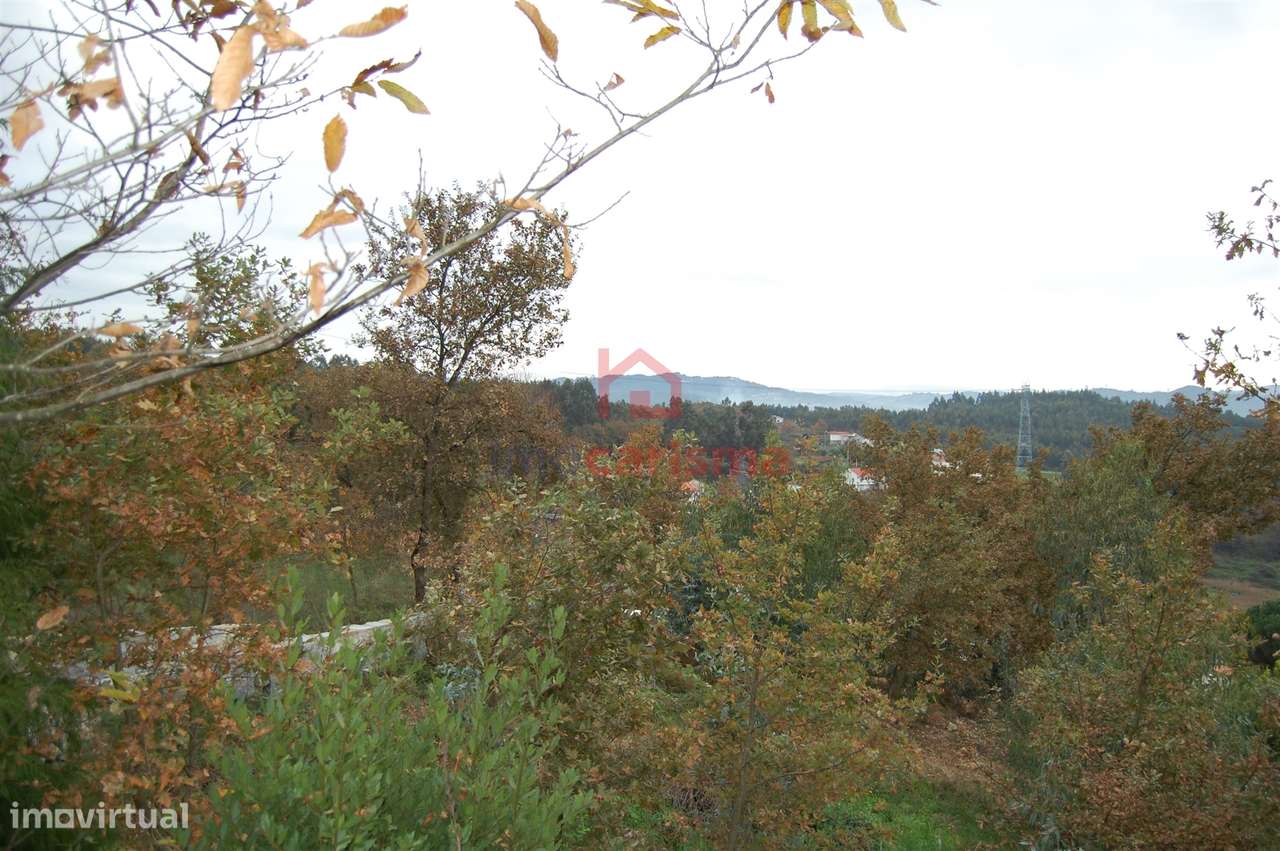 Terreno para construção com 2.335m2 em Lordelo, Guimarães - Grande imagem: 5/11
