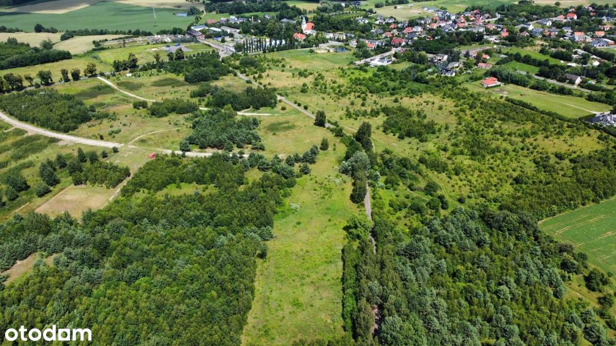 Wyjątkowe 3 działki | Morasko | dom na skarpie - Pełny obrazek: 5/13