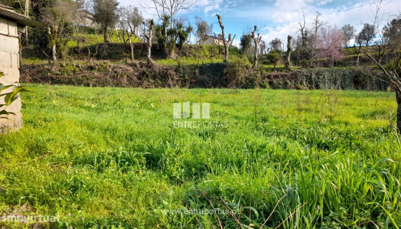 Venda Terreno, Gatão, Amarante - Grande imagem: 3/30