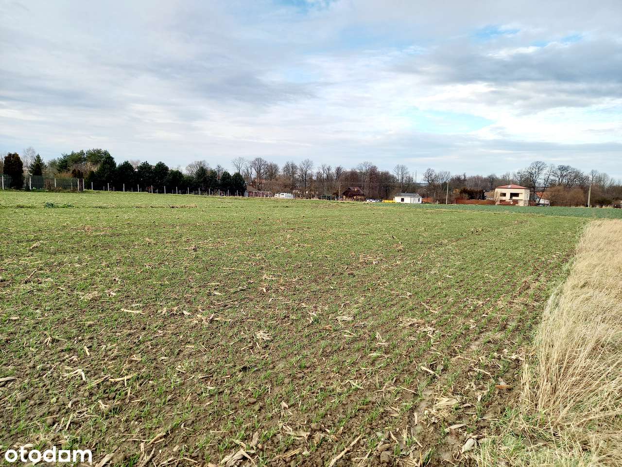Działki na sprzedaż-0