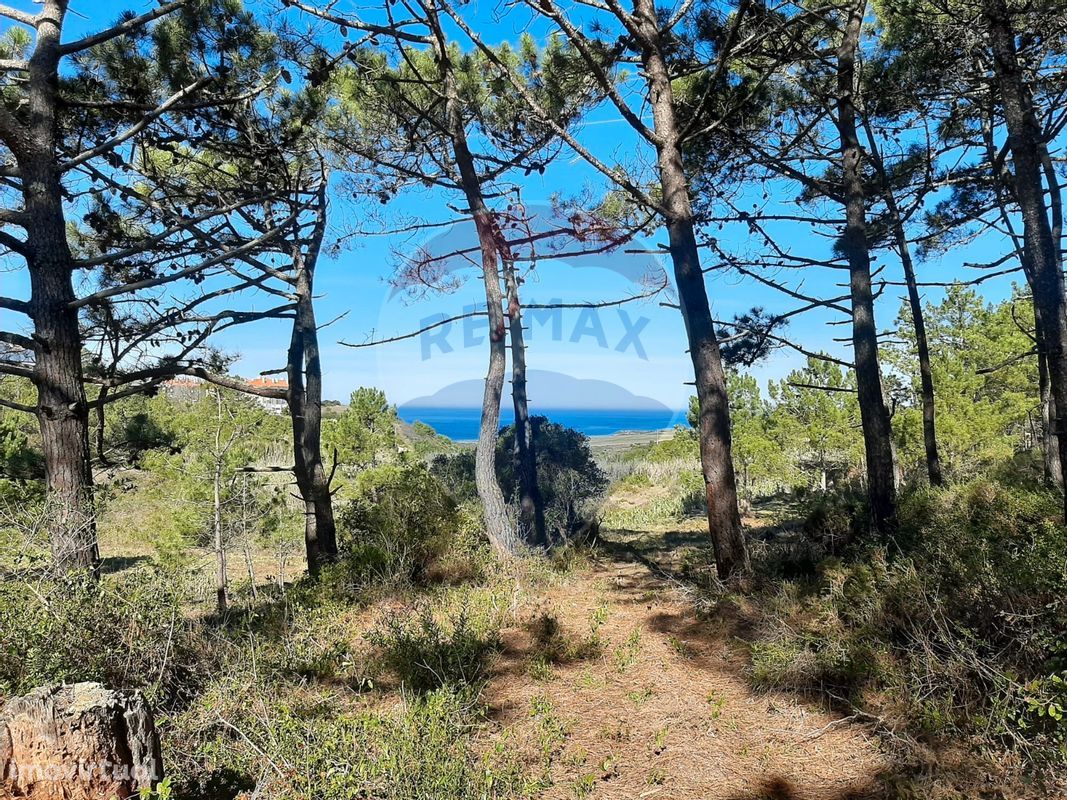 Terreno  para venda