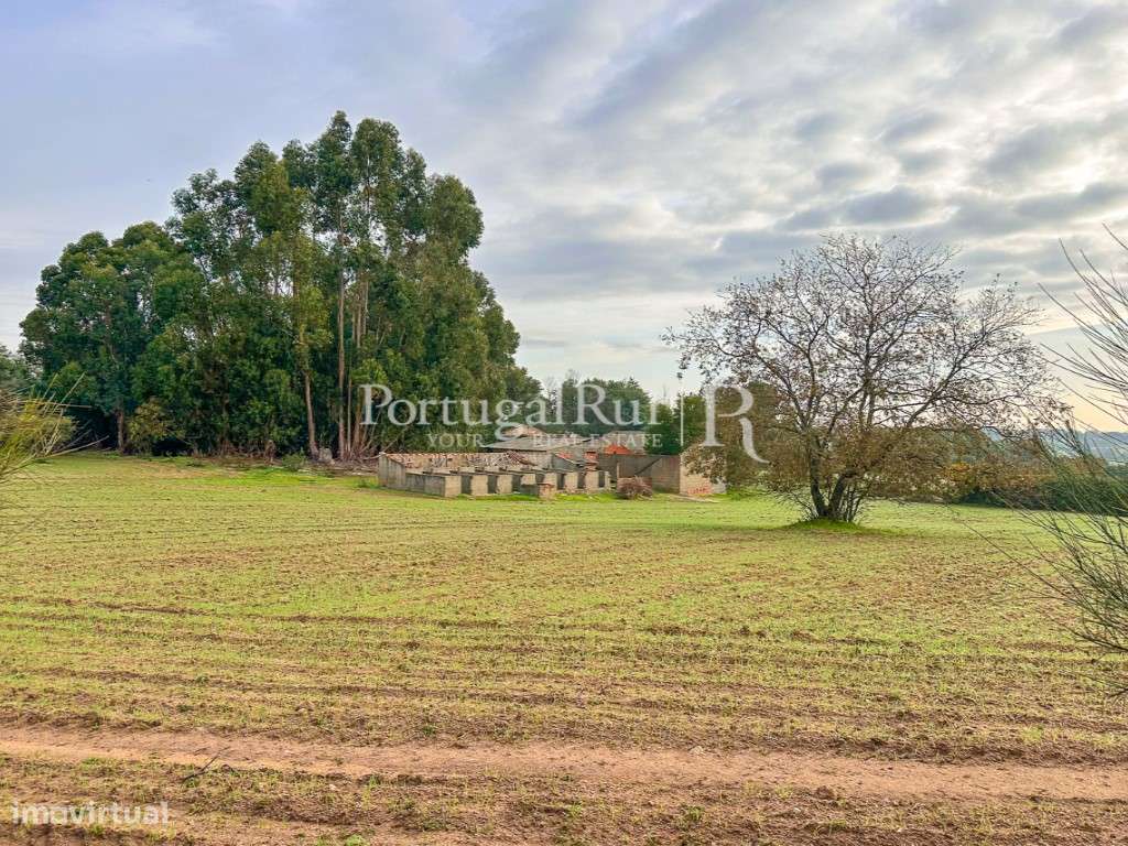 Quinta com 5 hectares e ruína - Grande imagem: 4/20