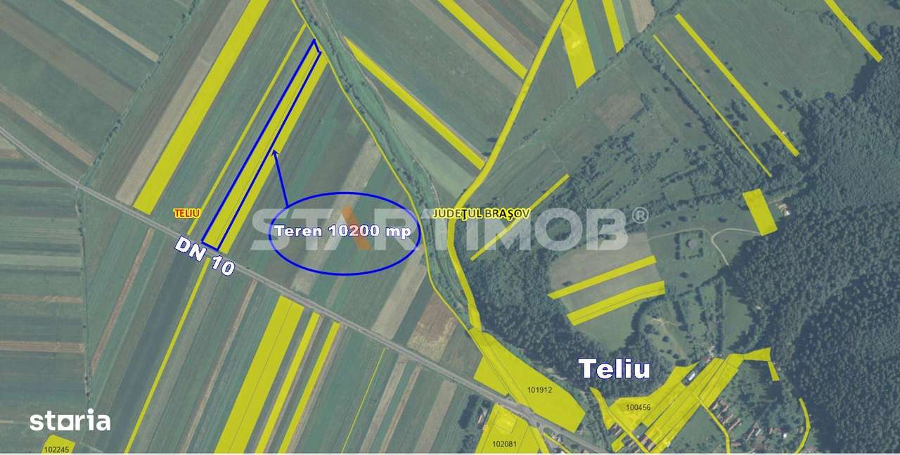 Teren cu front la DN 10 Teliu - Imagine principală: 5/5