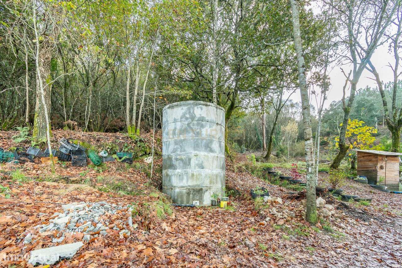 Viver de uma forma Ecológica em Terreno Panorâmico em Calde, Viseu-10