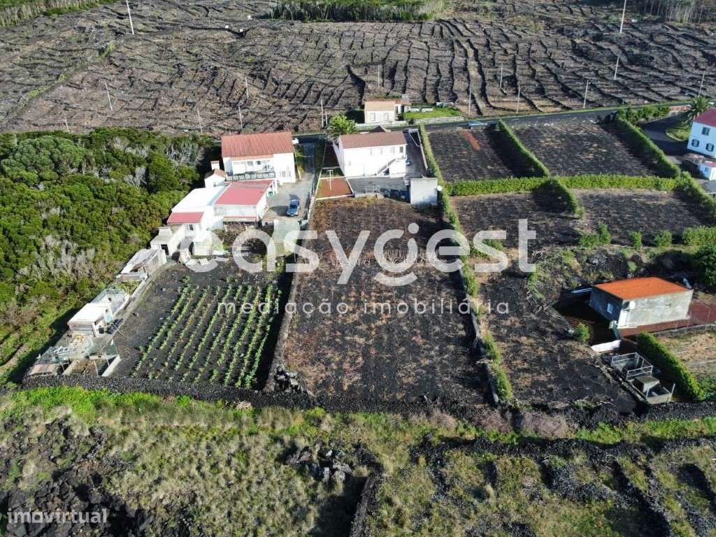 Casa junto ao mar, inserida em terreno de vinha na ilha do Pico - Grande imagem: 5/15