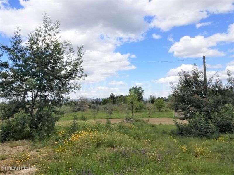 Terreno / Gouveia, Moimenta da Serra e Vinhó - Grande imagem: 2/6