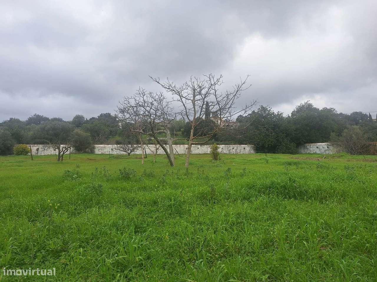 Edificio urbano - Antiga fábrica de cortiça em São Brás de Alportel-11