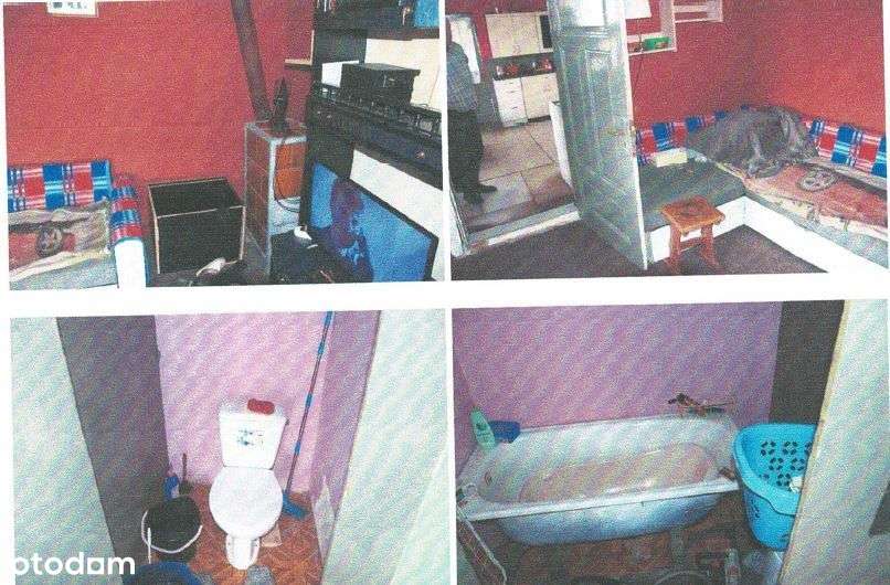 Syndyk sprzeda siedlisko - Pełny obrazek: 4/6