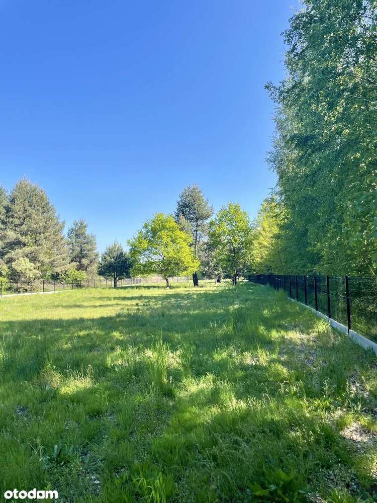 Działka budowlana - pod kameralne osiedle lub dom marzeń wśród natury - Pełny obrazek: 5/11