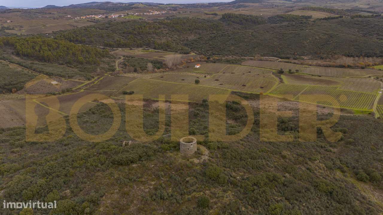 Quinta do Arieiro - Cedovim | Vila Nova de Foz Côa | Douro Superior-34