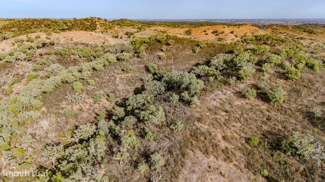 QUINTA | PARA VENDA | ALENTEJO | ODEMIRA-9