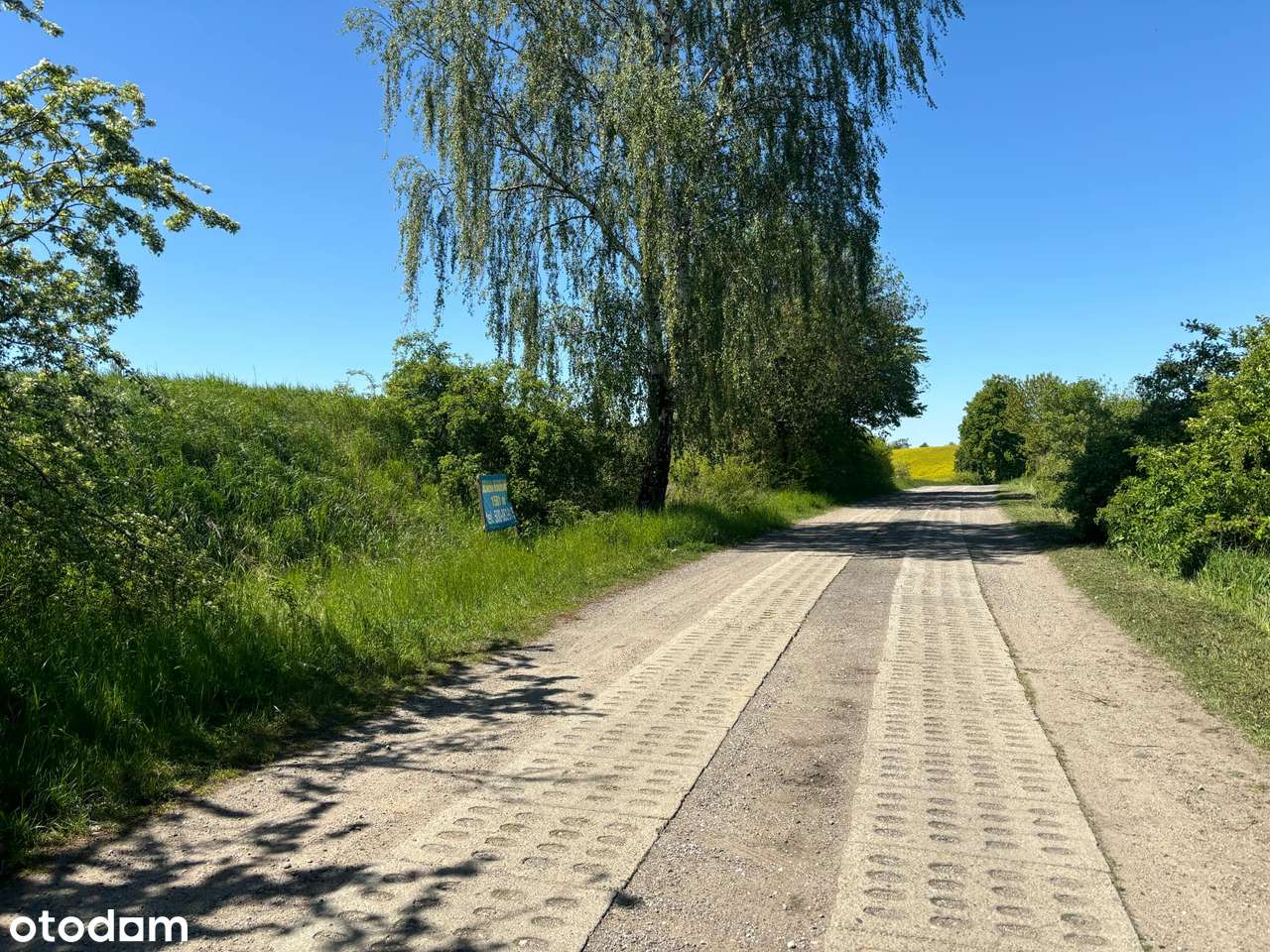 Na sprzedaż działki nad jeziorem sztumskim - Pełny obrazek: 4/9