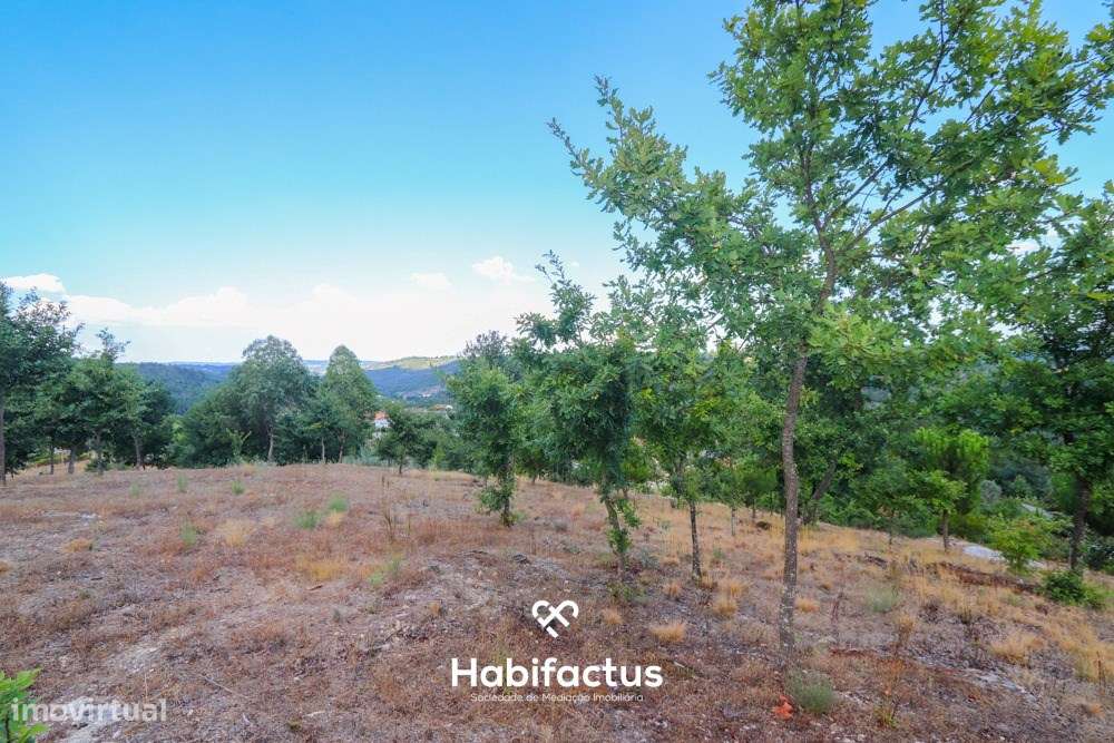 Lote de terreno urbano com 5003 m2 para venda em Santos Êvos-6