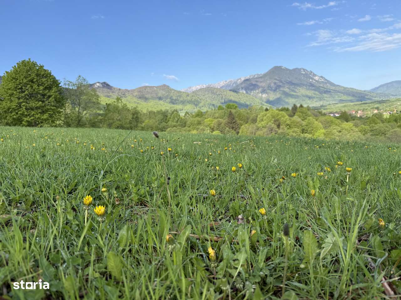 Teren intravilan construibil 500 mp - Imagine principală: 1/20