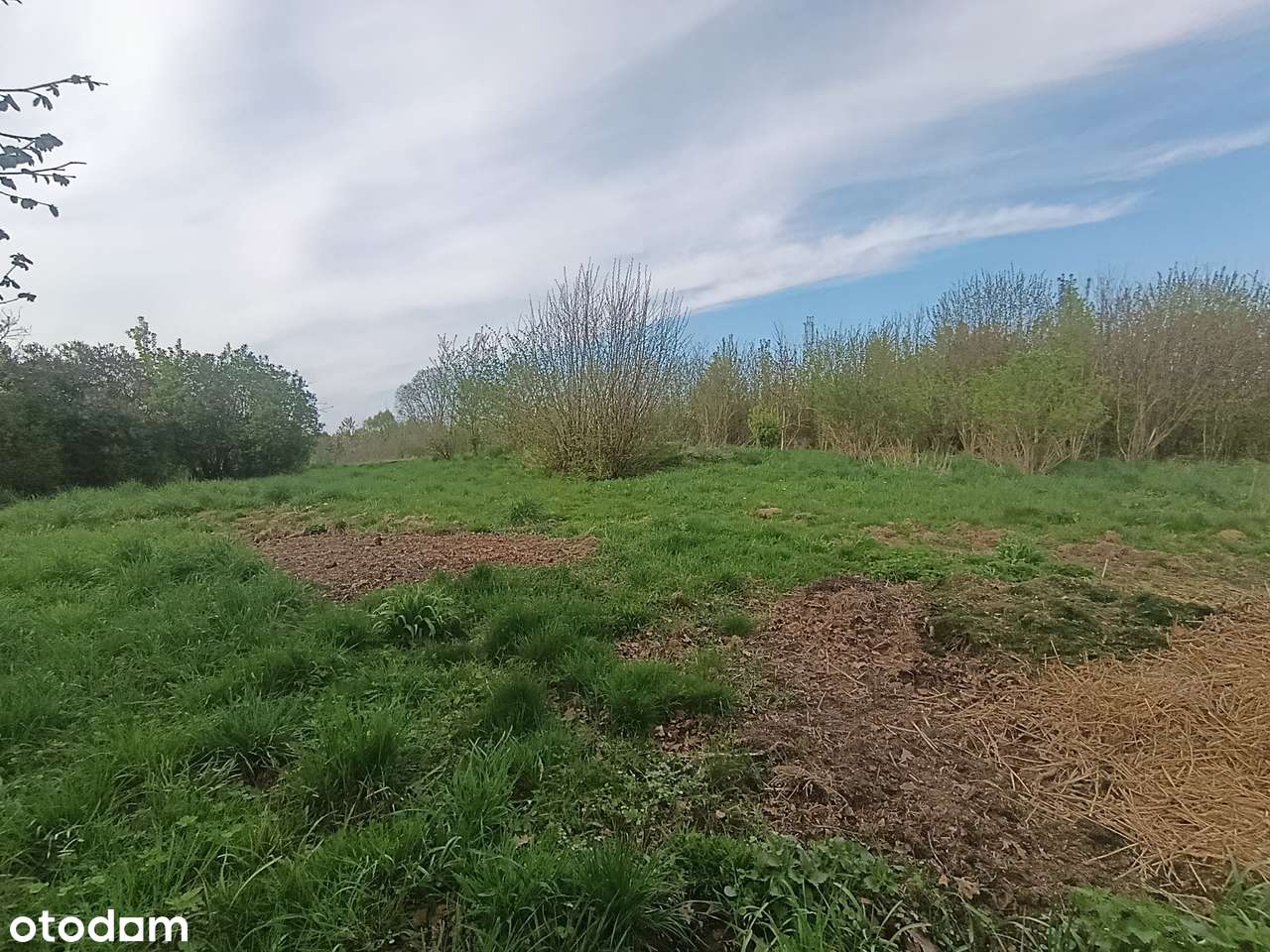 Gałęzinowo, gm. Redzikowo, działka nr 73/7, pow. 0,1325 ha - Pełny obrazek: 4/9