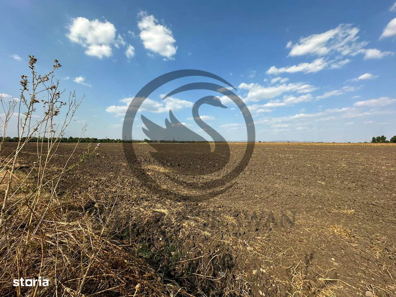 Teren extravilan de vanzare | 9882mp | Berceni - Prahova | Comision 0%-6