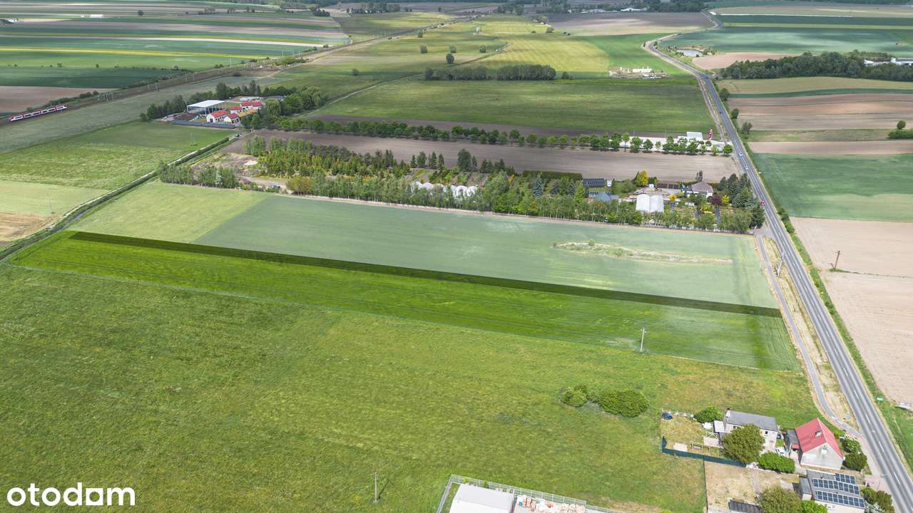 Działki Stare Tarnowo / Czempiń - 180zł/m2 - Pełny obrazek: 2/4