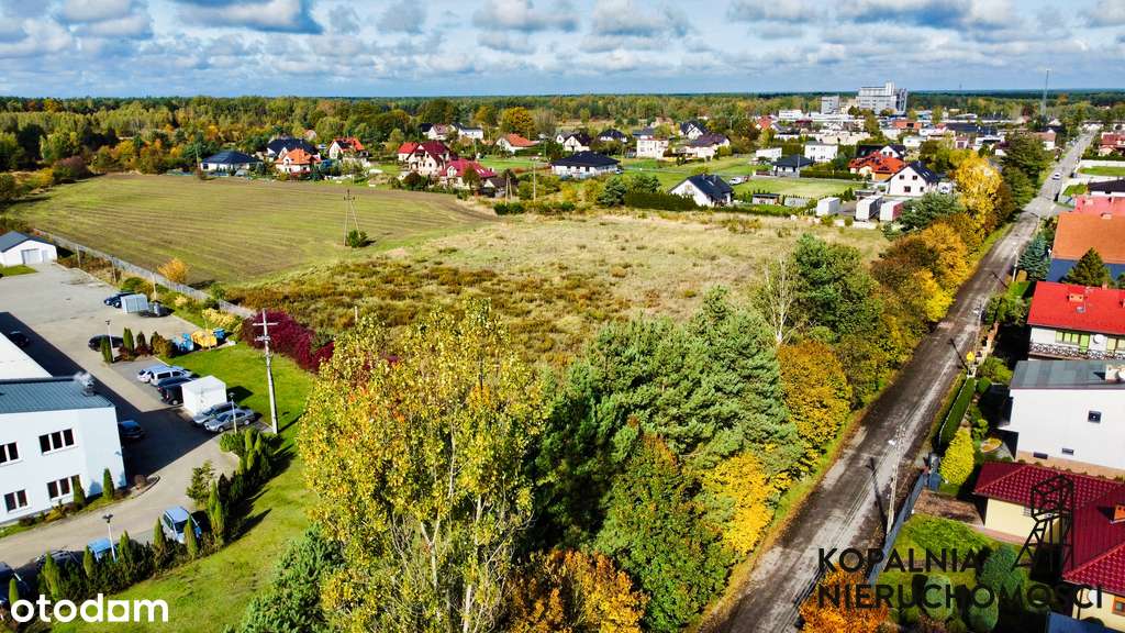 Idealna działka pod firmę i dom - 8577m2, asfalt - Pełny obrazek: 4/7