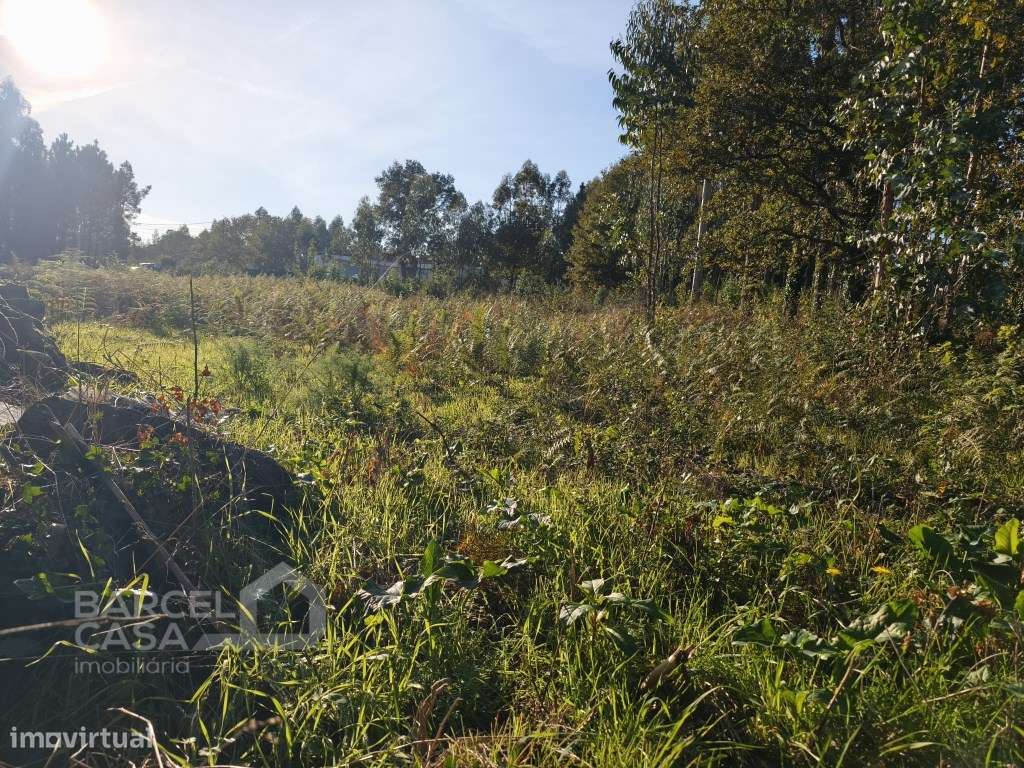 Excelente Oportunidade em Forjães - Esposende: Terreno de Construçã... - Grande imagem: 5/14