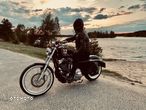 Harley-Davidson Sportster Seventy-Two - 6