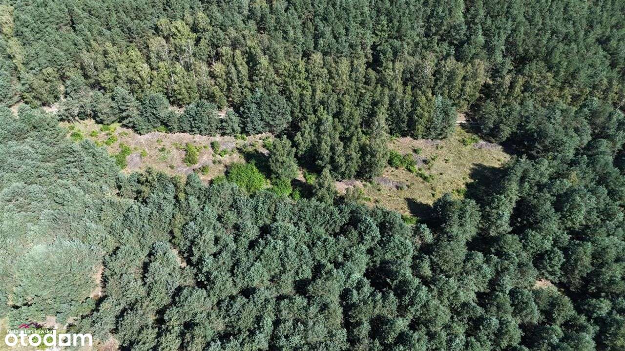 *KRUSZE*DZIAŁKA BUDOWLANA Z WARUNKAMI ZABUDOWY* - Pełny obrazek: 4/8