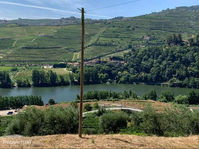 Terreno no Douro/Regua com Projecto aprovado para Moradia-3