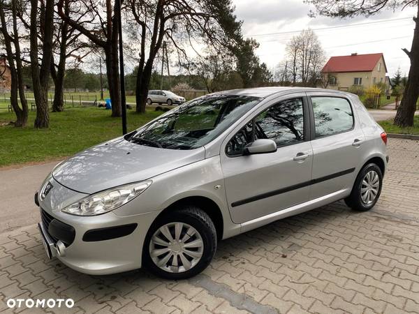 Peugeot 307 1.4 Trendy - 7