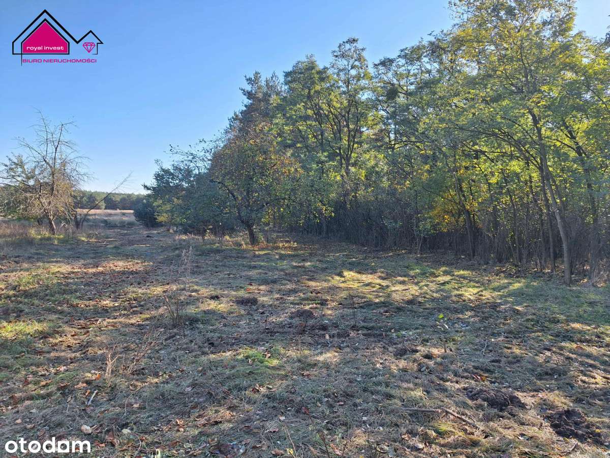 Unikatowa działka dla konesera ciszy i przestrzeni - Pełny obrazek: 4/17