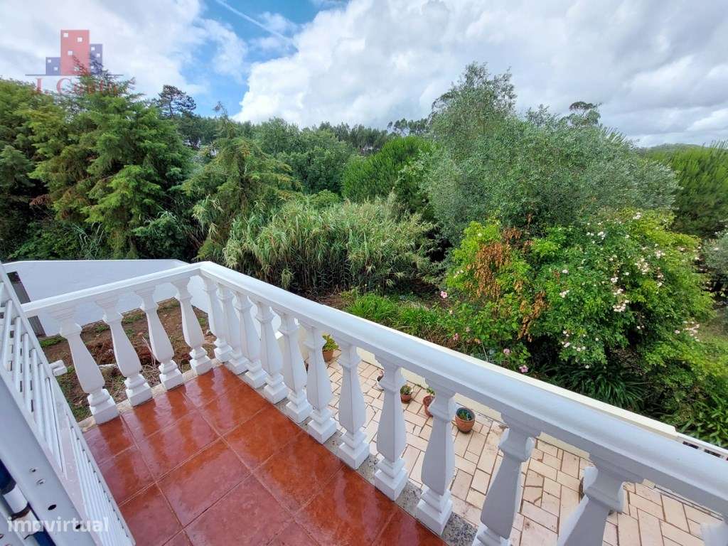 Quintinha com 14.000m2 de terreno com mina de água e árvores de fruto.-9