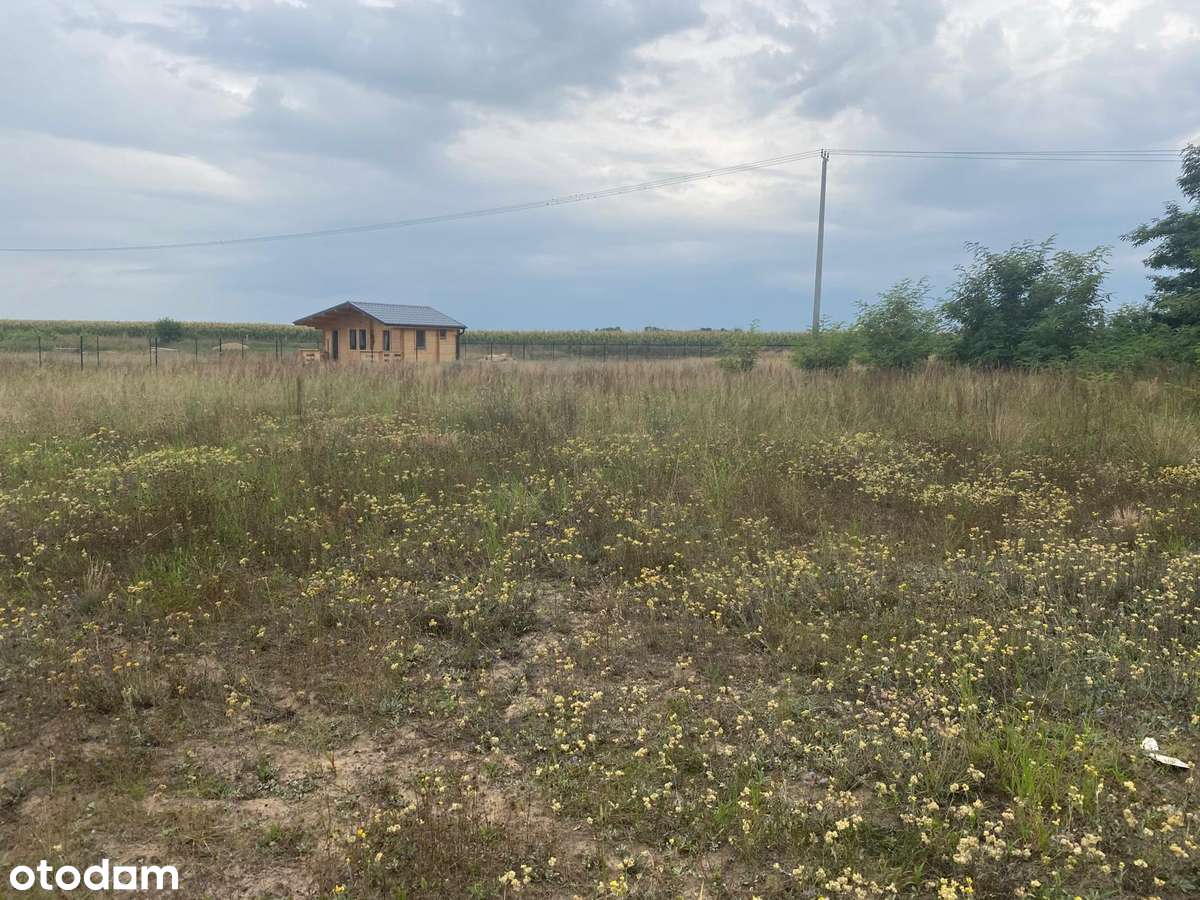 Działka nad jeziorem k. Boszkowa -Perkowo - Pełny obrazek: 3/5