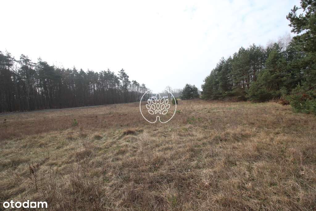 Duży grunt inwestycyjny z dod.funkcją mieszkaniową - Pełny obrazek: 5/6