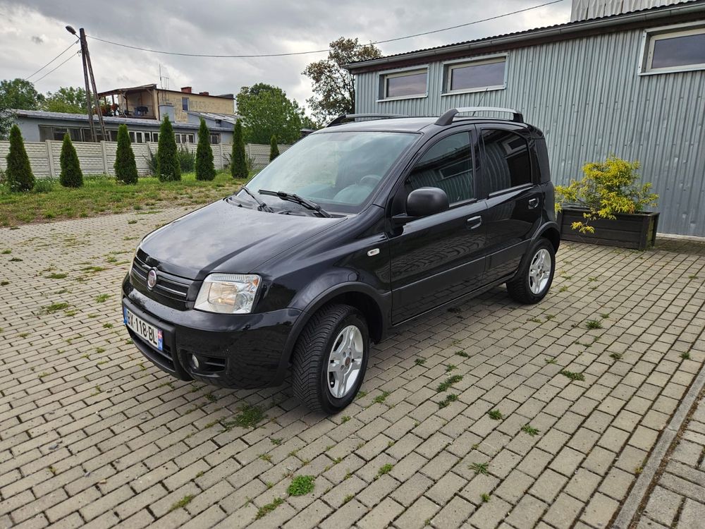 Fiat Panda II (2003-2012) 1.3 Multijet 4x4 DPF Climbing 2011