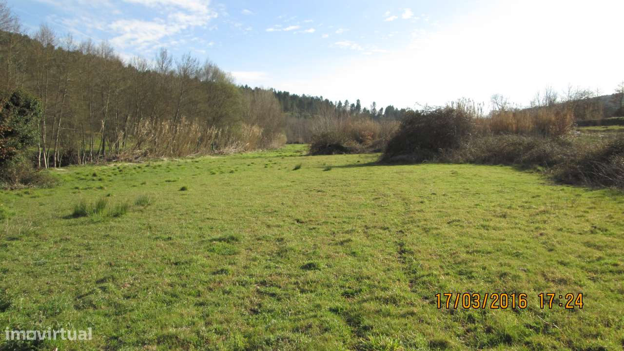 Terreno em Roriz , Penalva do Castelo com  14 ha - Grande imagem: 4/13