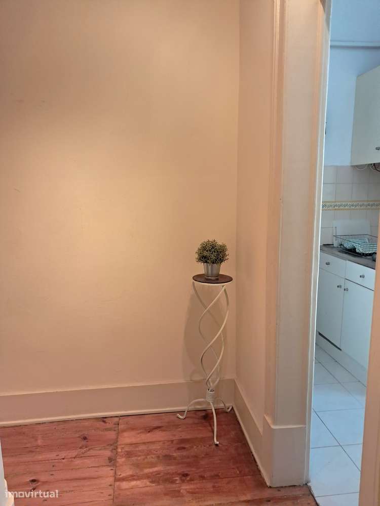 Oportunidade-  T5 remodelado á Alameda-19