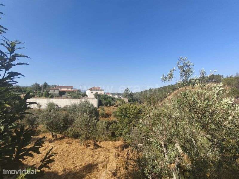 Terreno Rústico / Fundão, Silvares - Grande imagem: 4/10