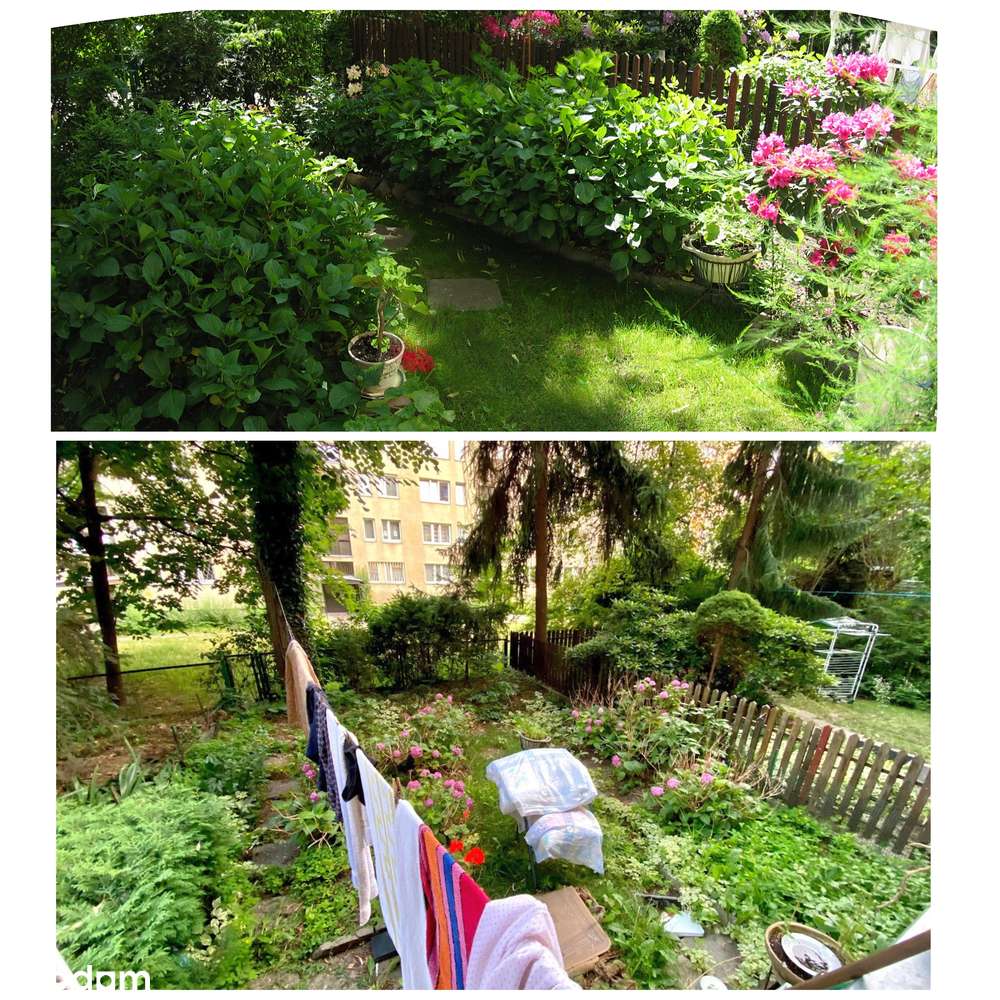 Pokój 1-os. Sadyba/Mokotów, parter, ogródek, tramwaj, 1250 zł - Pełny obrazek: 4/7