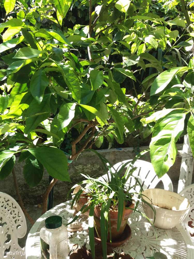 Quarto - localizado em Santos Lisbon - Grande imagem: 2/6