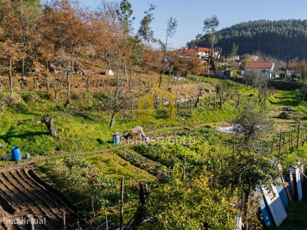Quinta com Terreno, Armazém e Ruína em Gonça, Guimarães - Oportunid...-18