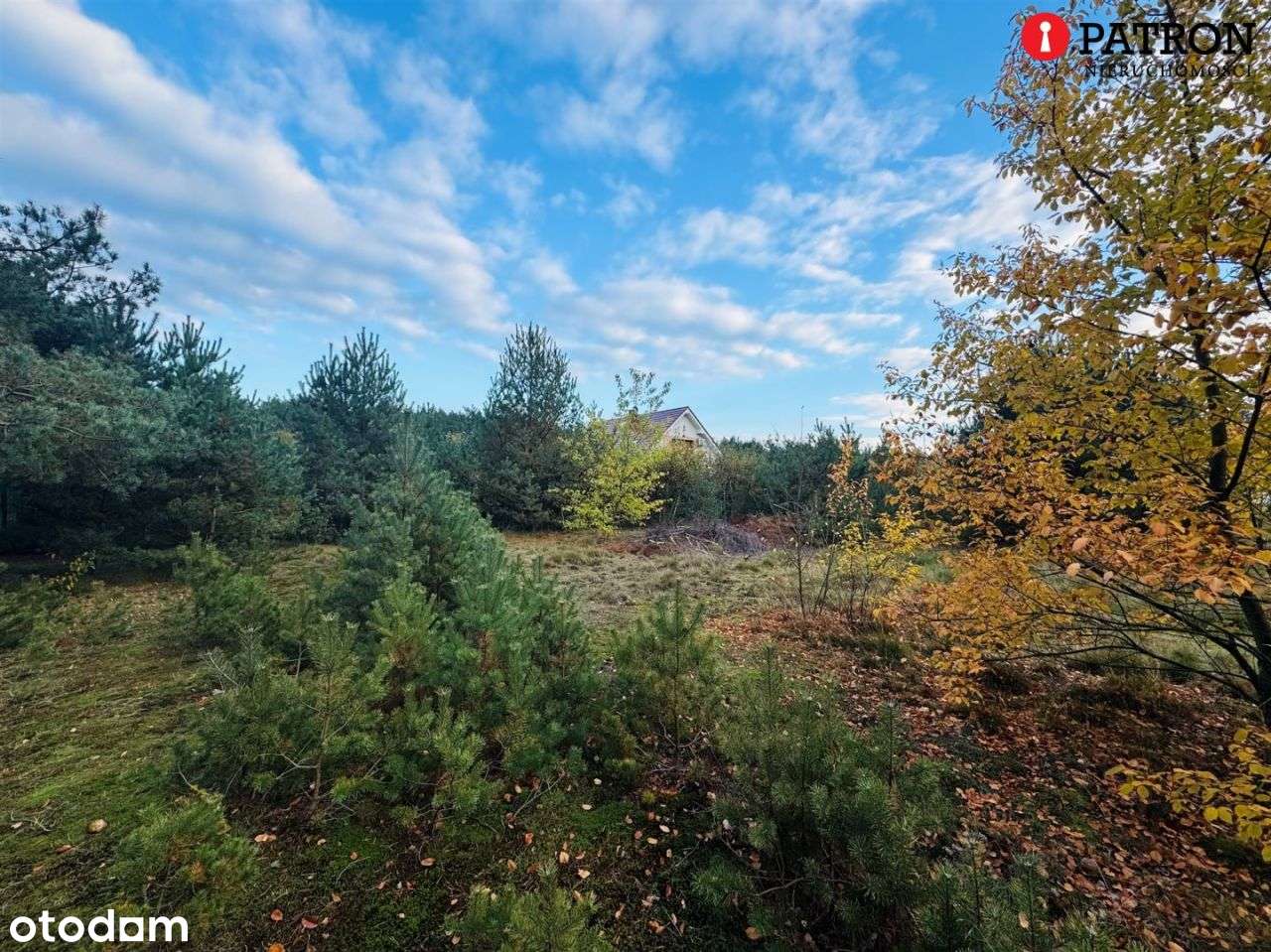 Działka z Warunkami Zabudowy-4