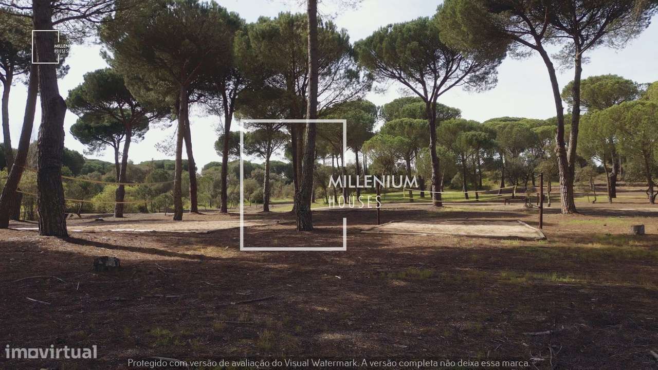 Terreno com Projeto Exclusivo | Vila Nova de Santo Estevão | BNV-21