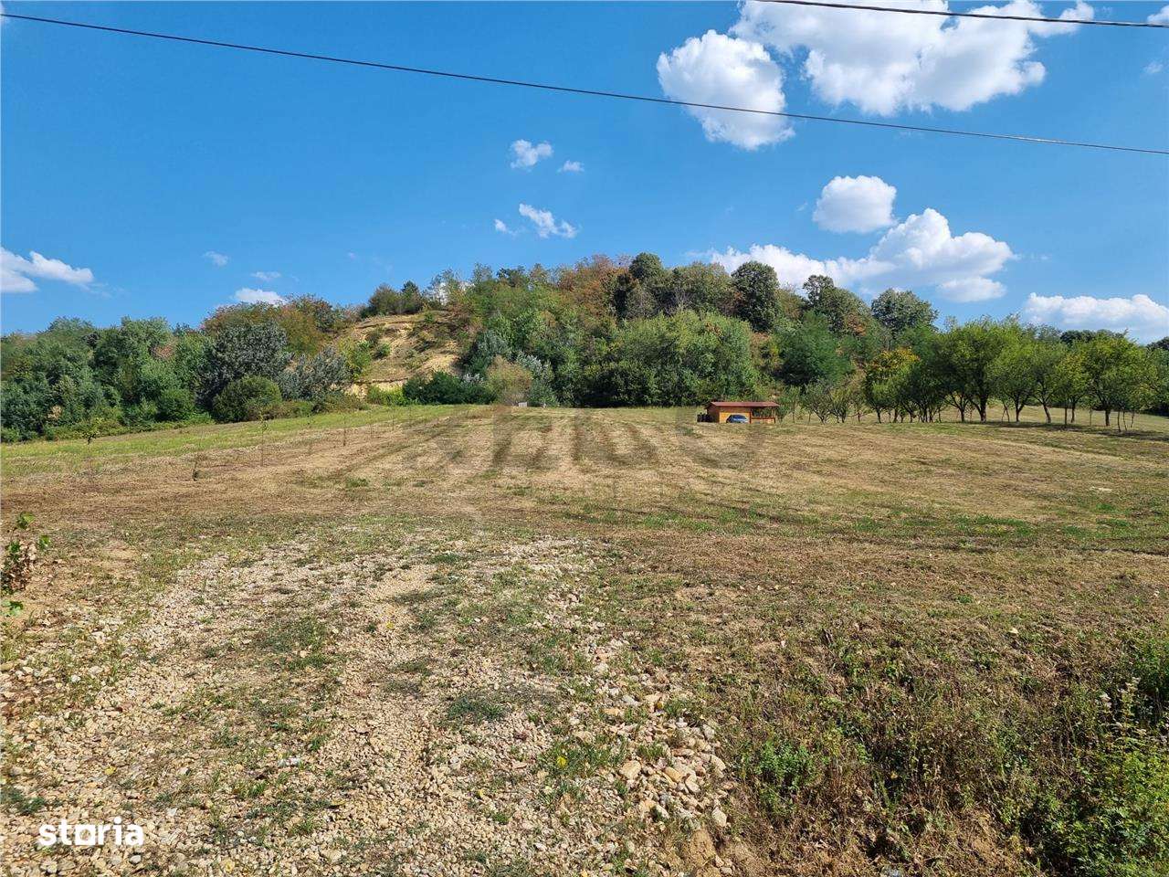 RECO Teren 8262 mp , Tileagd - Imagine principală: 3/7