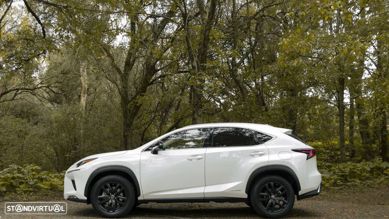 Lexus NX 300h Executive+ - 8